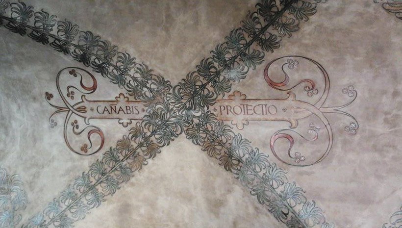 canabis protectio